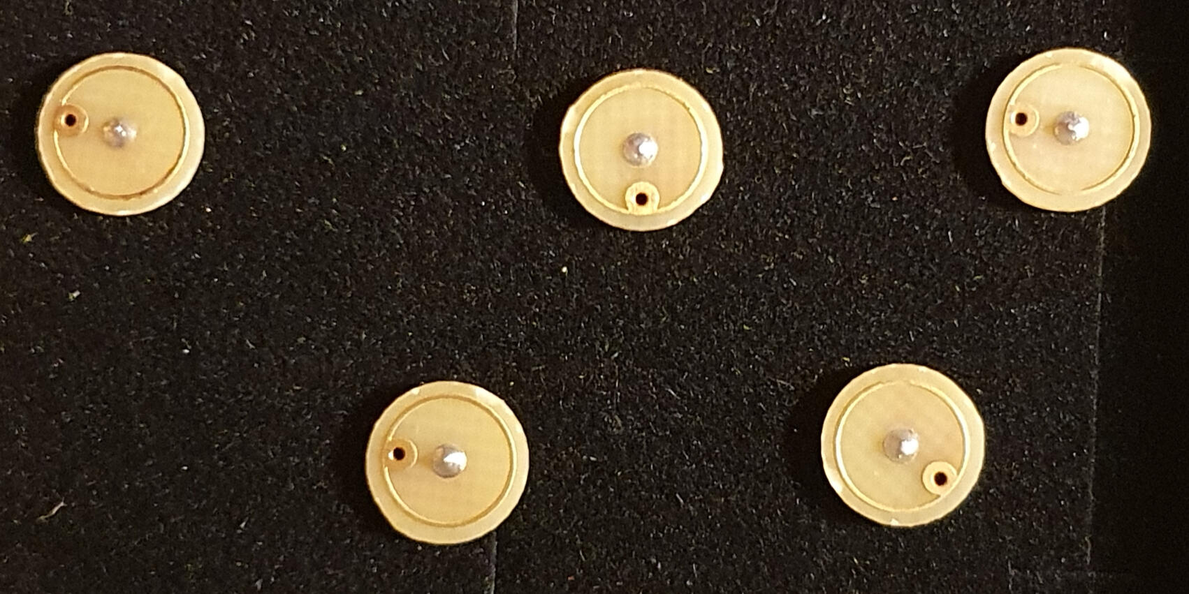 Bare Wasp Electrofe