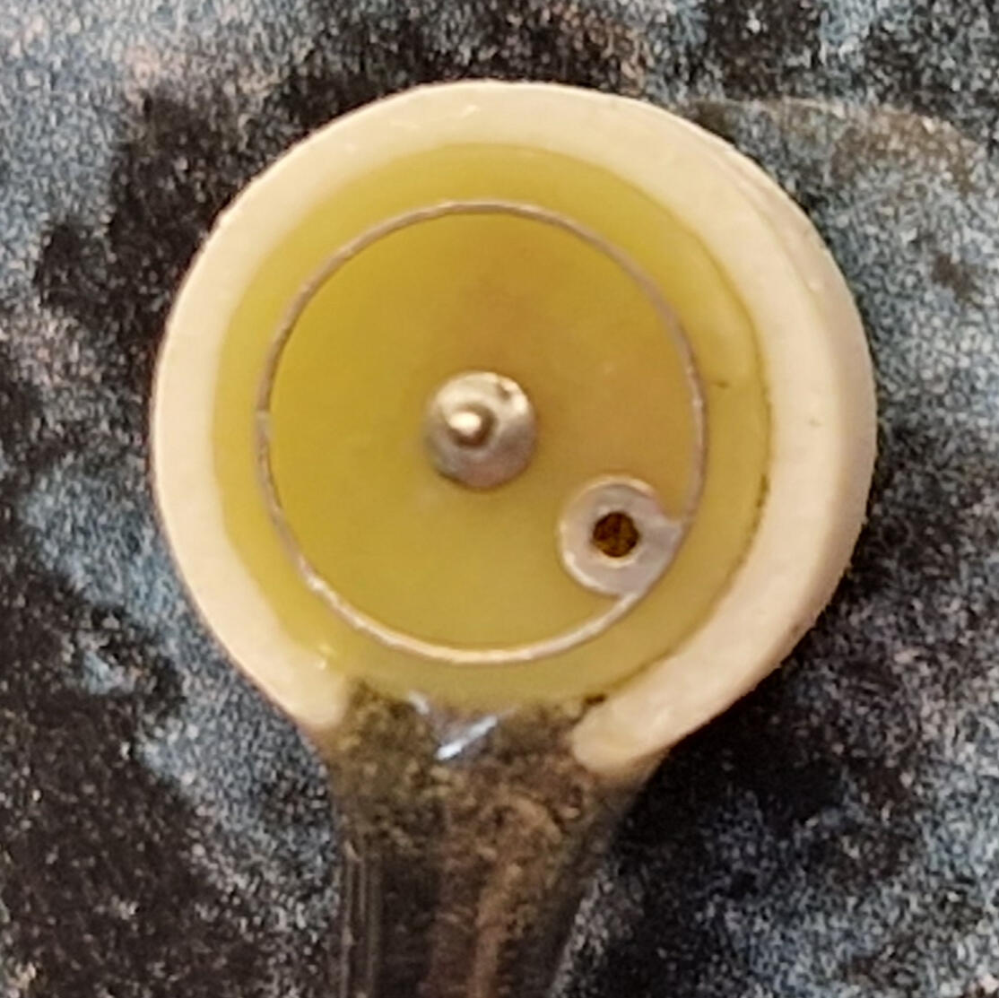 Wasp Dome Electrode